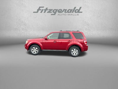 2011 Ford Escape Limited