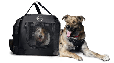 2024 Nissan Titan Platinum Reserve